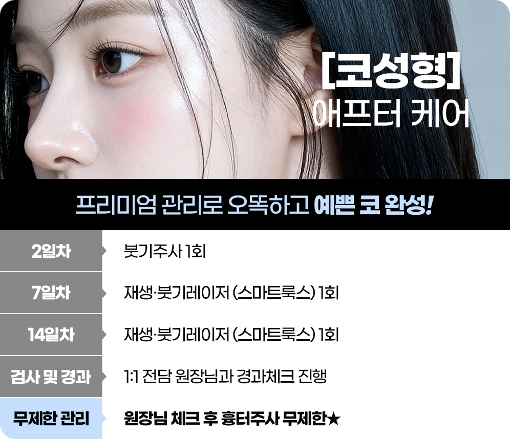 이미지 제목