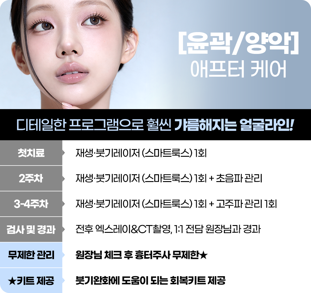 이미지 제목