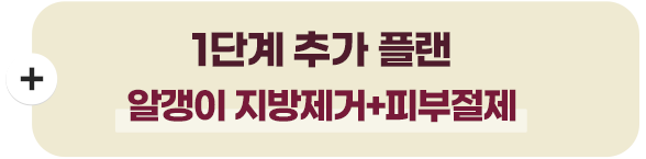 이중턱 삭제술