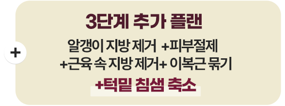 이중턱 삭제술