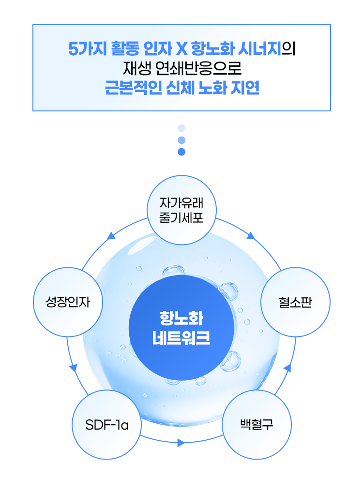 디에이 줄기세포