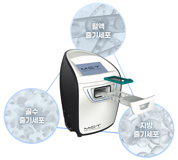 디에이 줄기세포