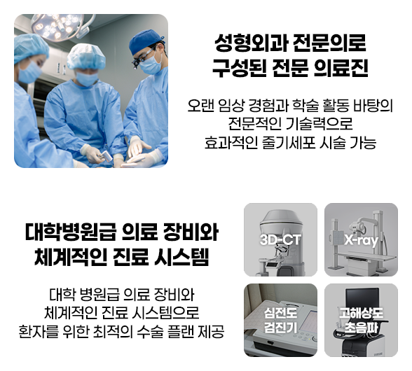 이미지 제목