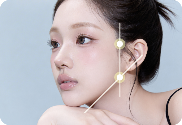 디에이 윤곽2종