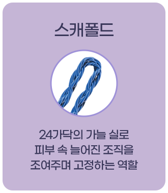 팔자특화 리프팅