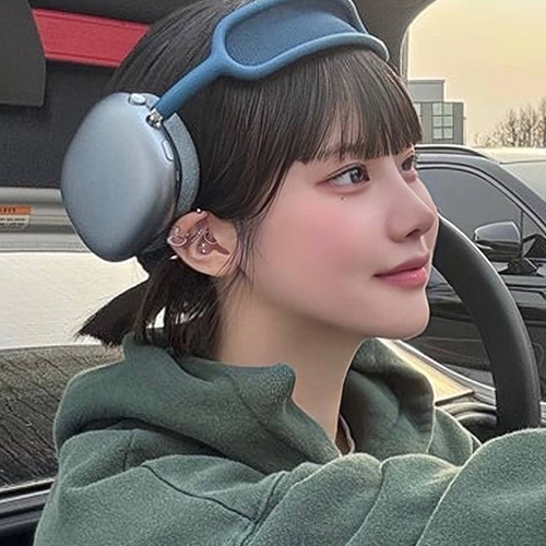 이미지 캡션